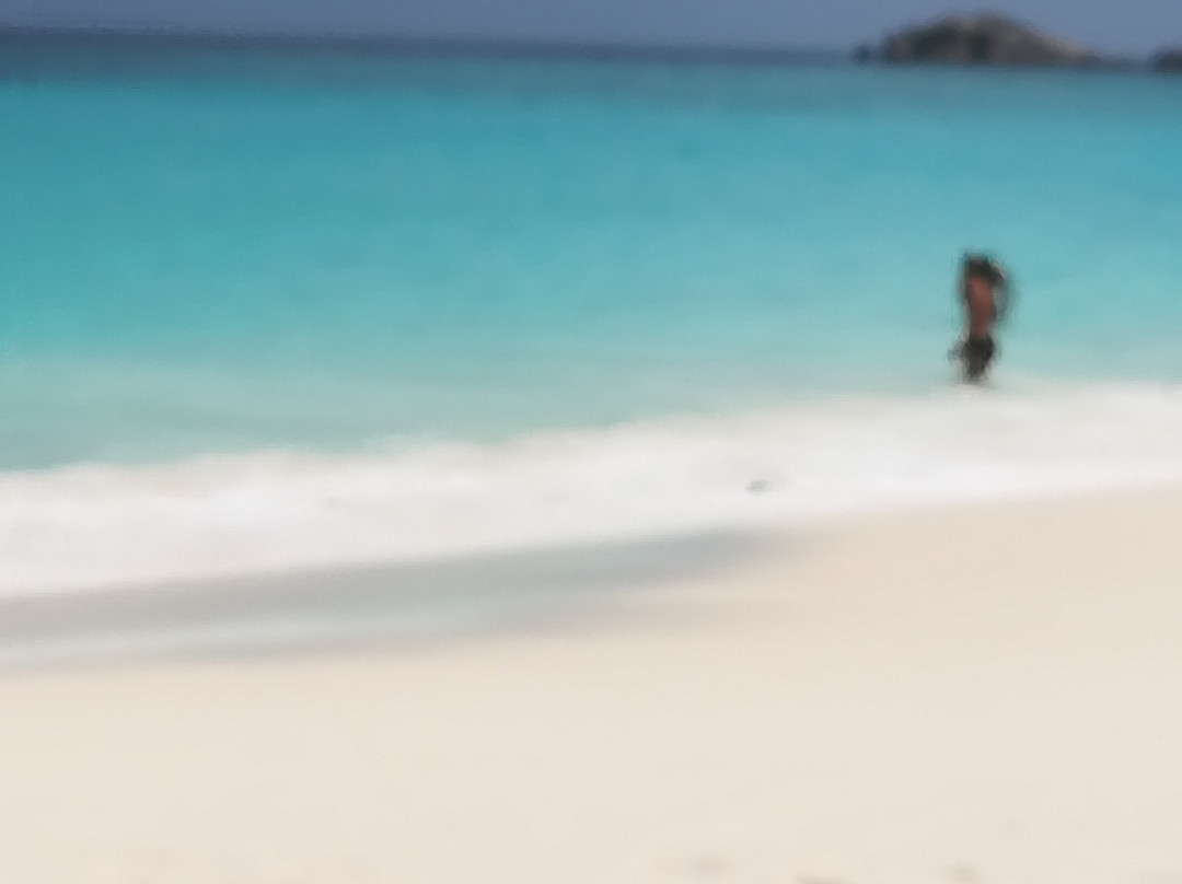 Villa Hortensia主图