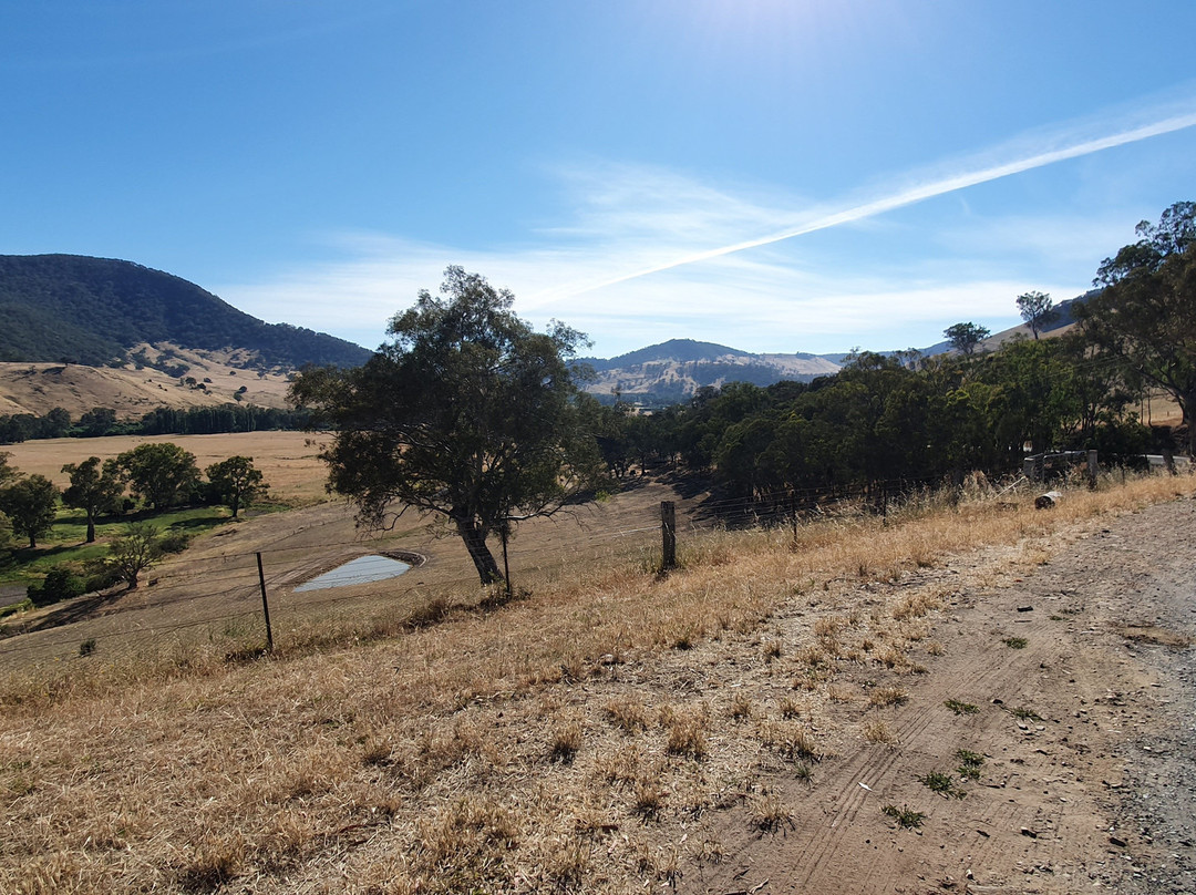 Mt Alfred Gap Lookout-Walwa必去景点