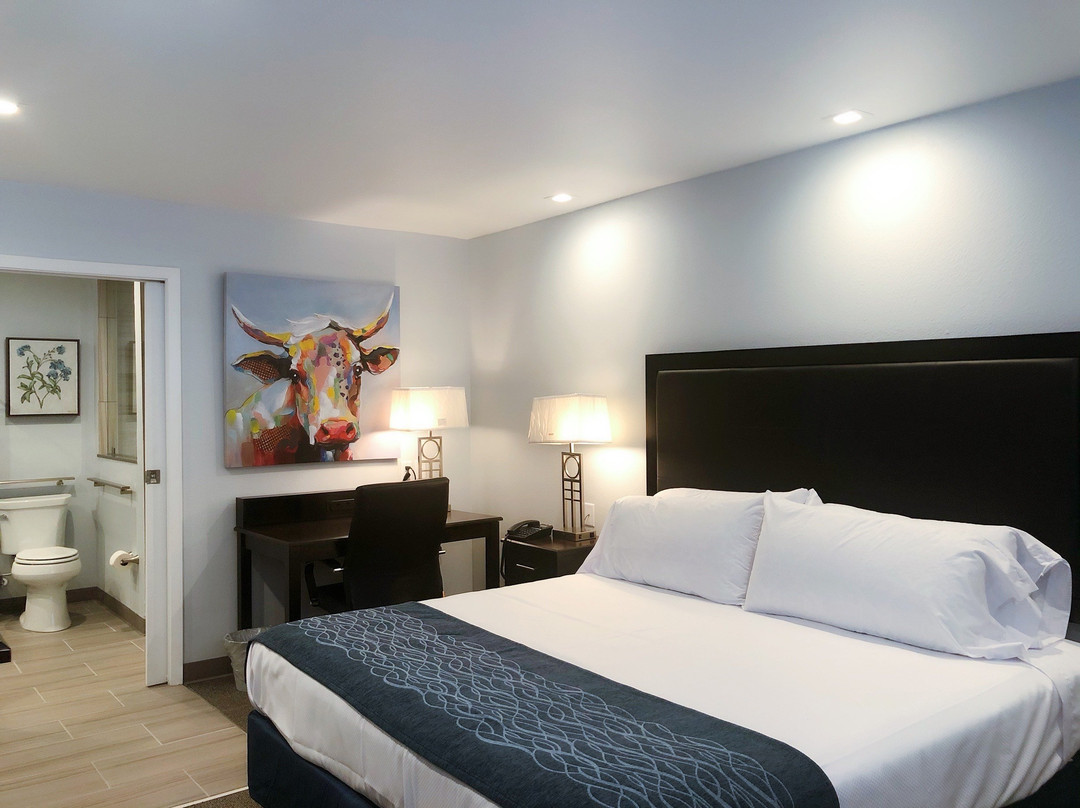 Three Palms Inn主图