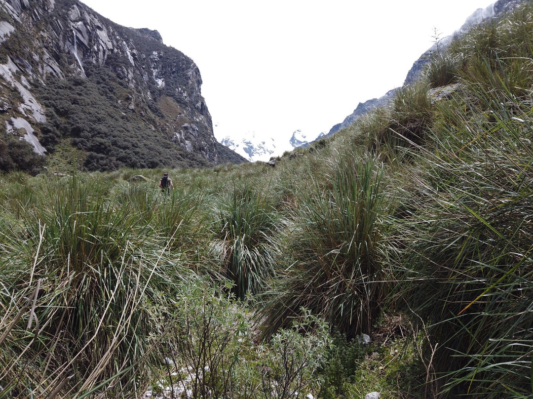 Laguna Shallap-瓦拉斯必去景点