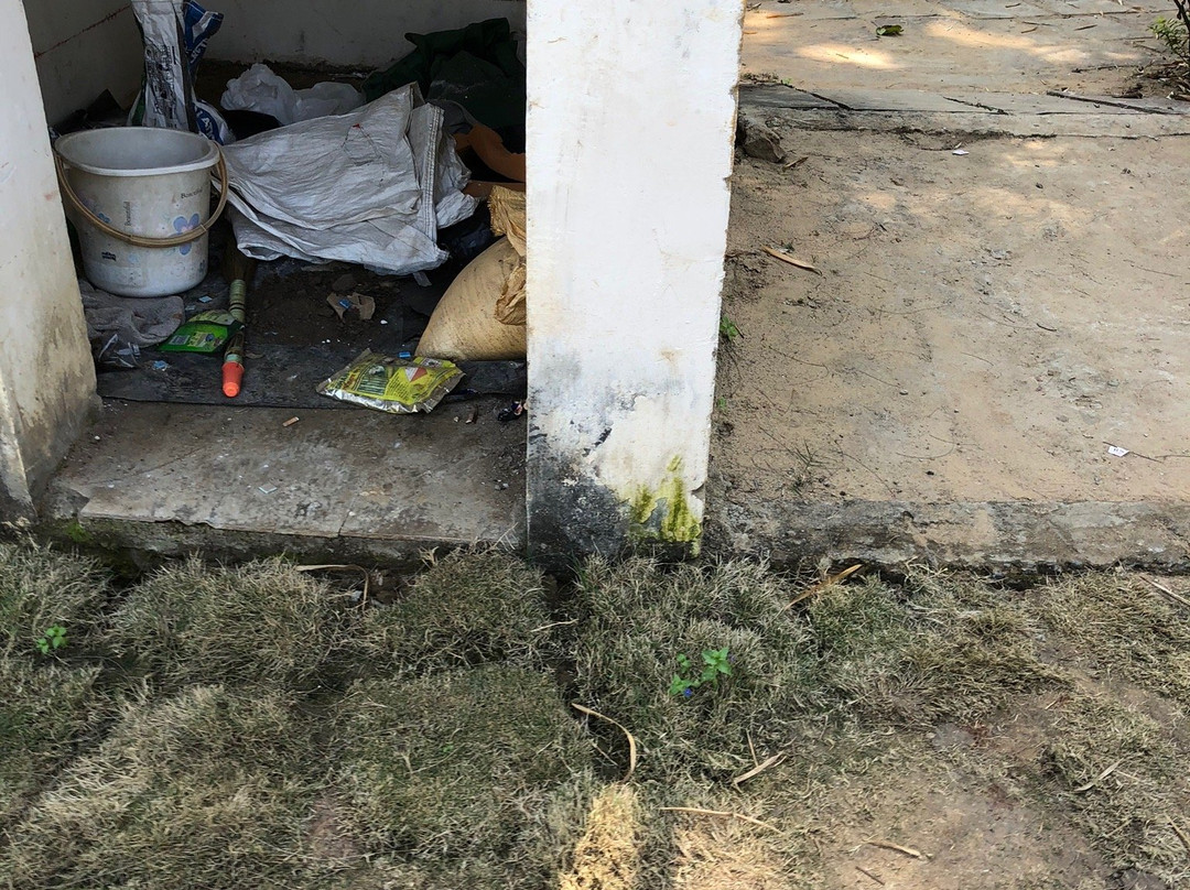 野花度假酒店主图