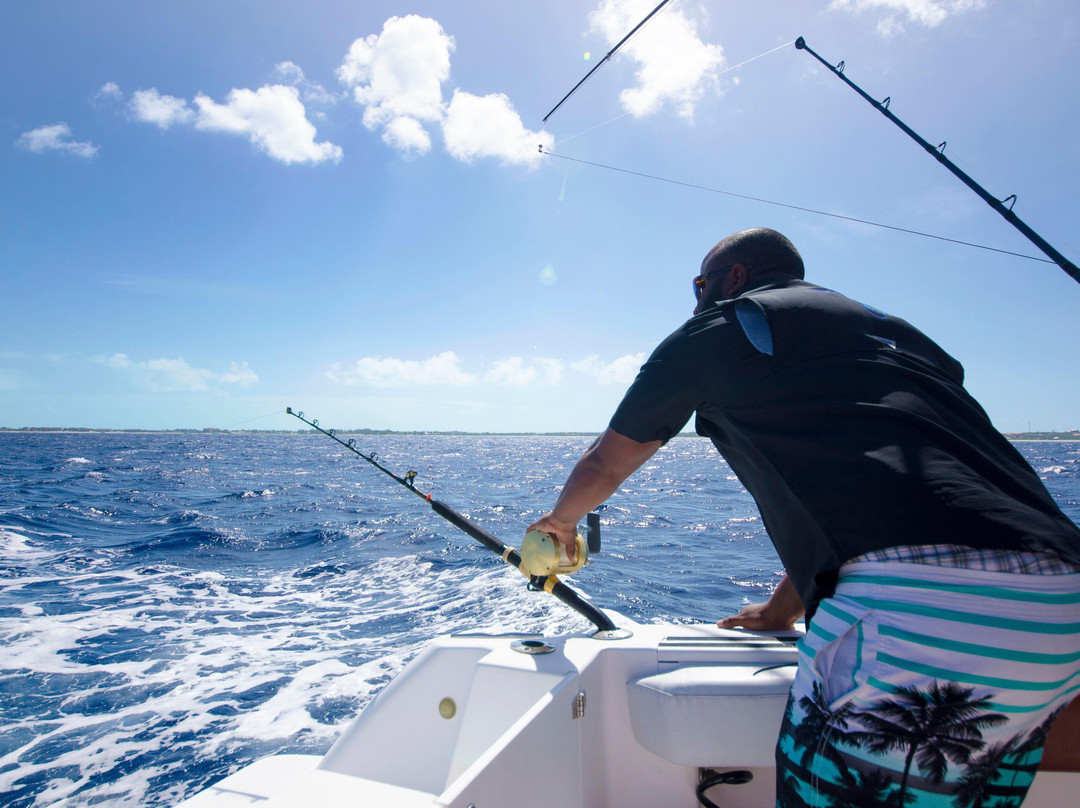 Blue Lane-Turtle Cove必去景点