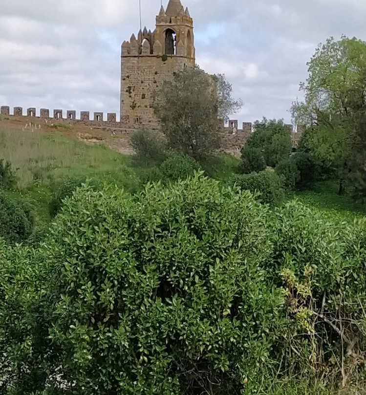 Castelo de Montemor-o-Novo景点图片