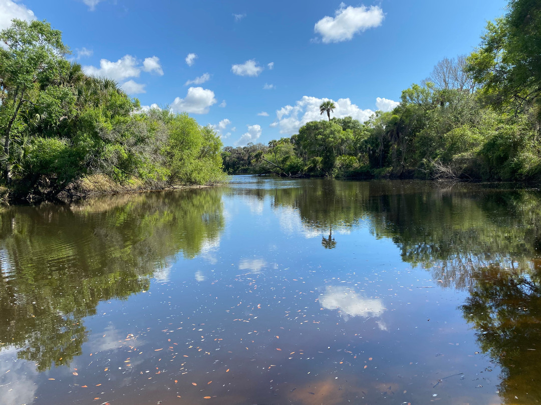 Sleeping Turtles Preserve North-威尼斯必去景点