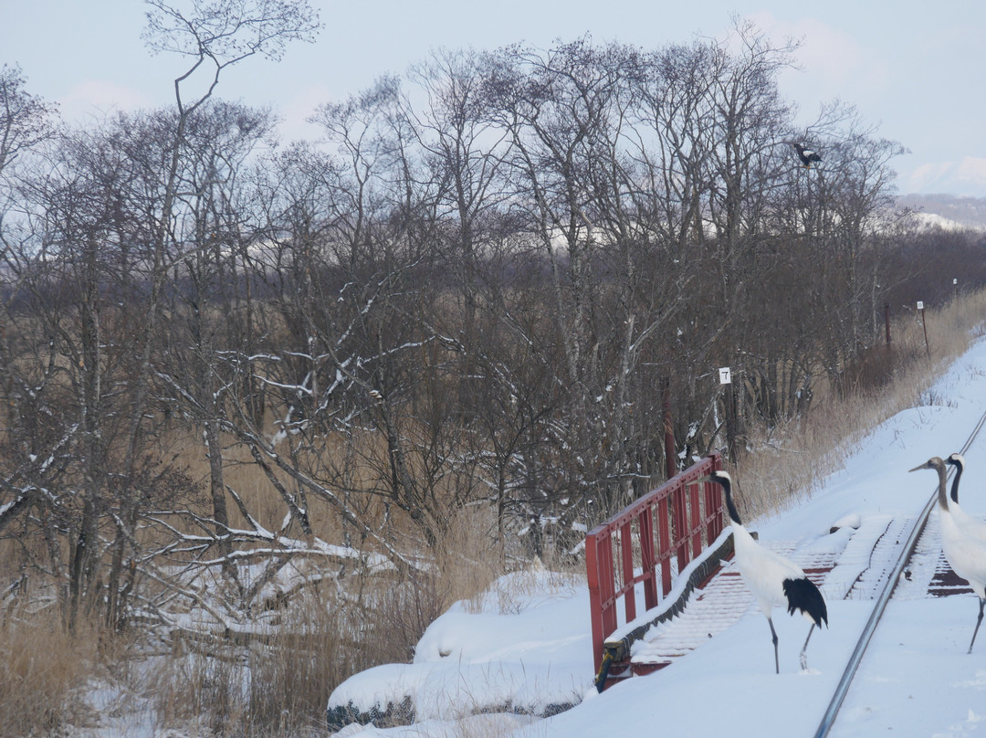 Kushiro Shitsugen Station-钏路町必去景点