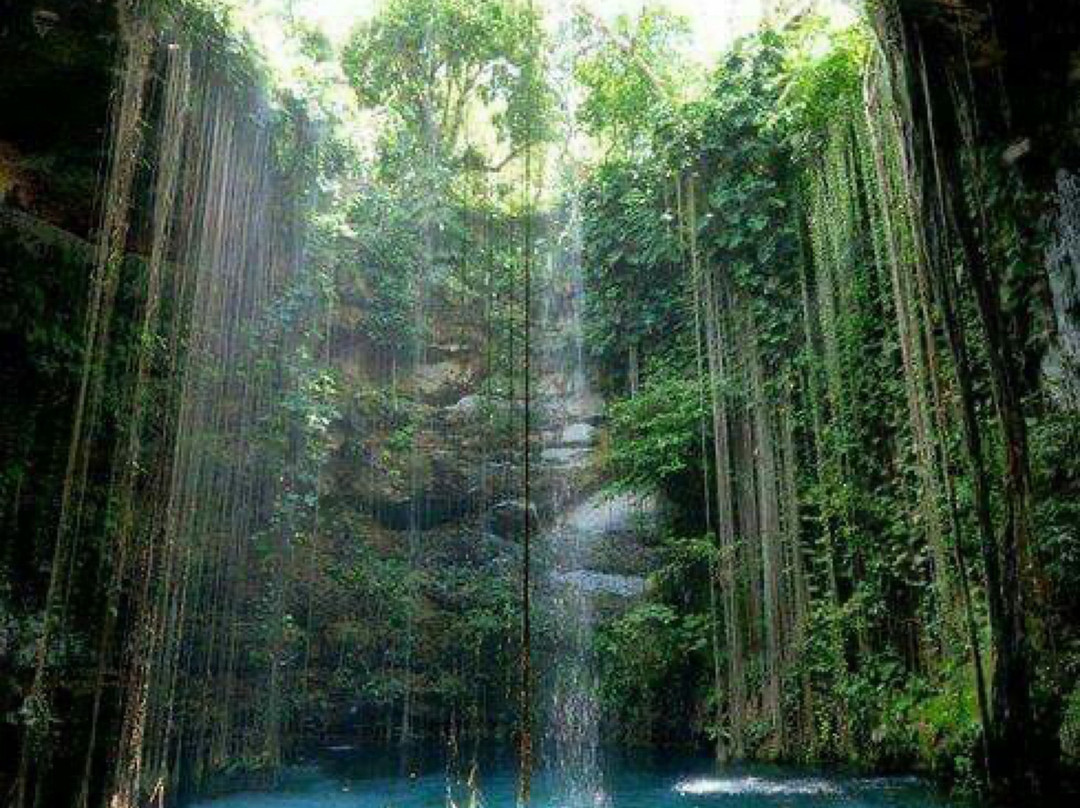 Ellis Tours & Transfers-蒙特戈贝必去景点