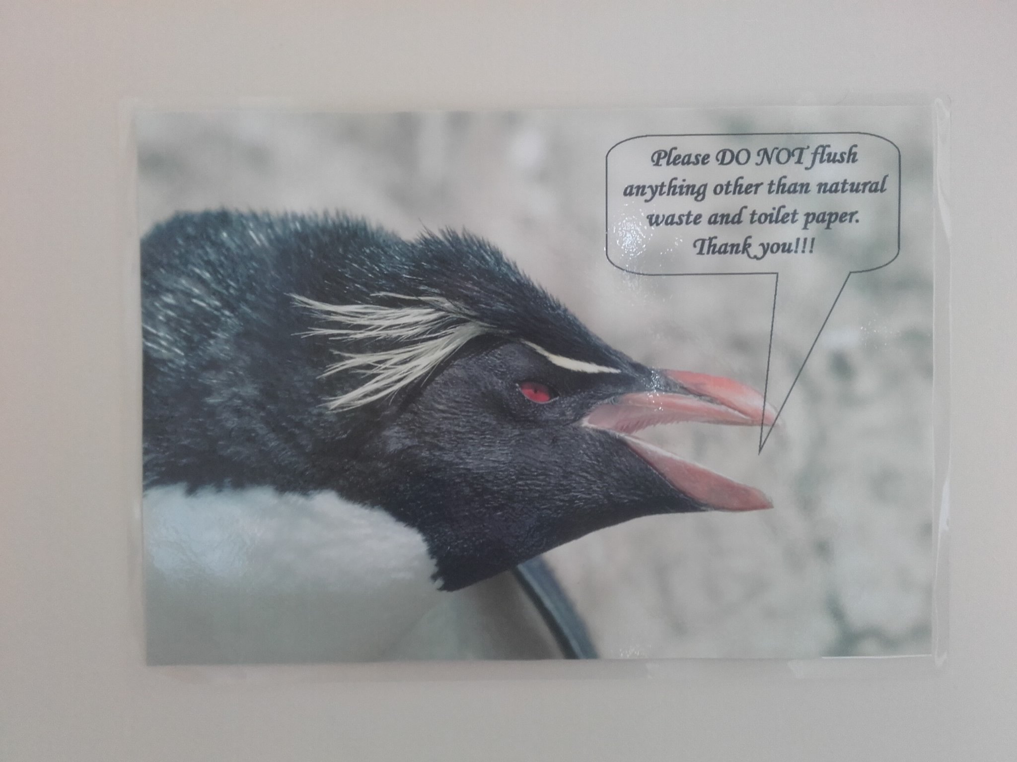 Pebble Island Lodge-浴室