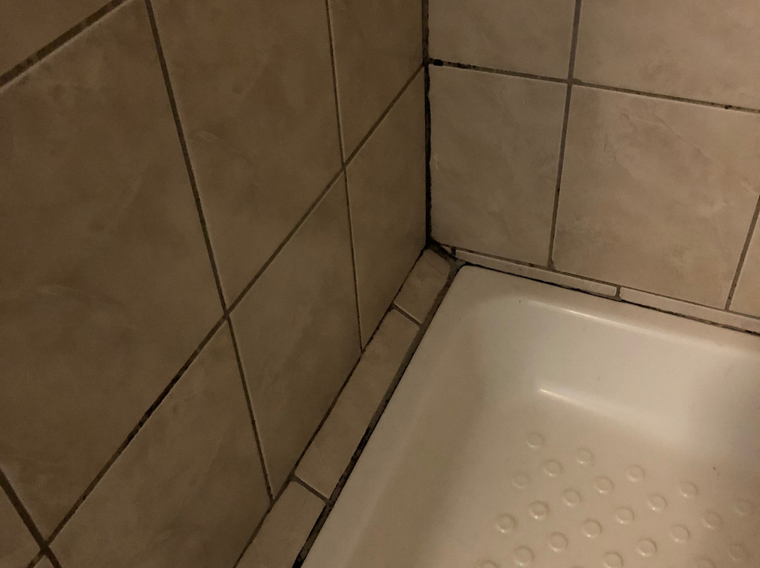 Black Swan Guest House主图