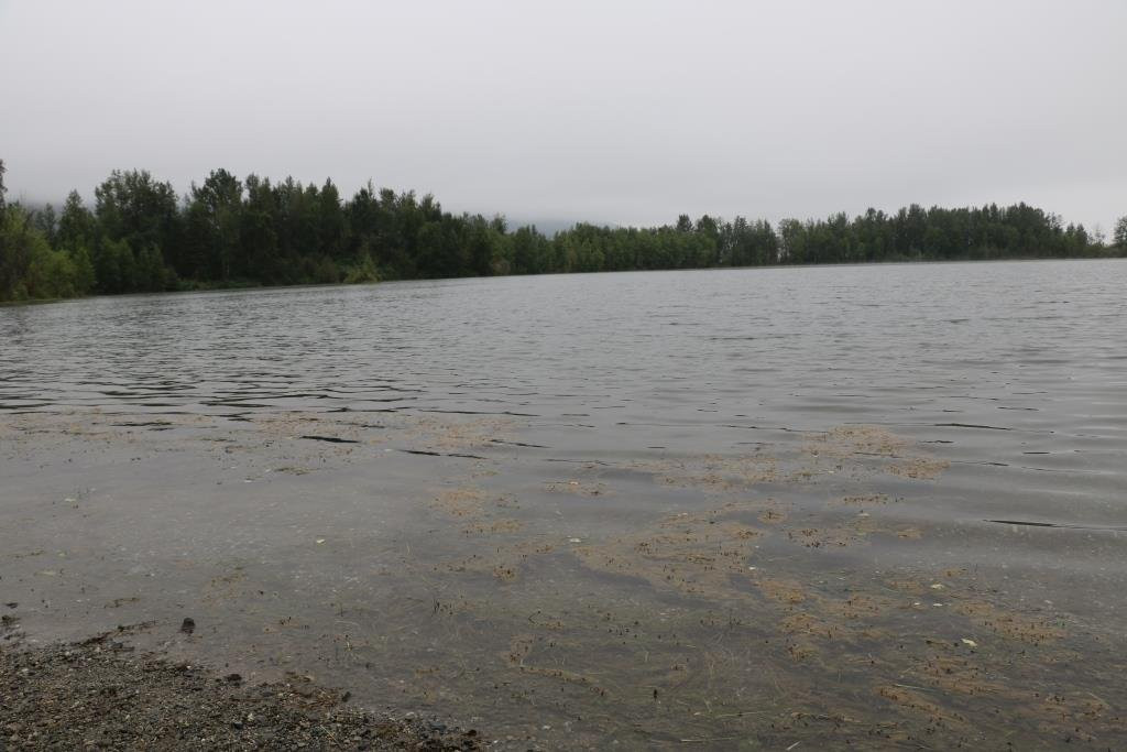Reflections Lake-帕尔默必去景点