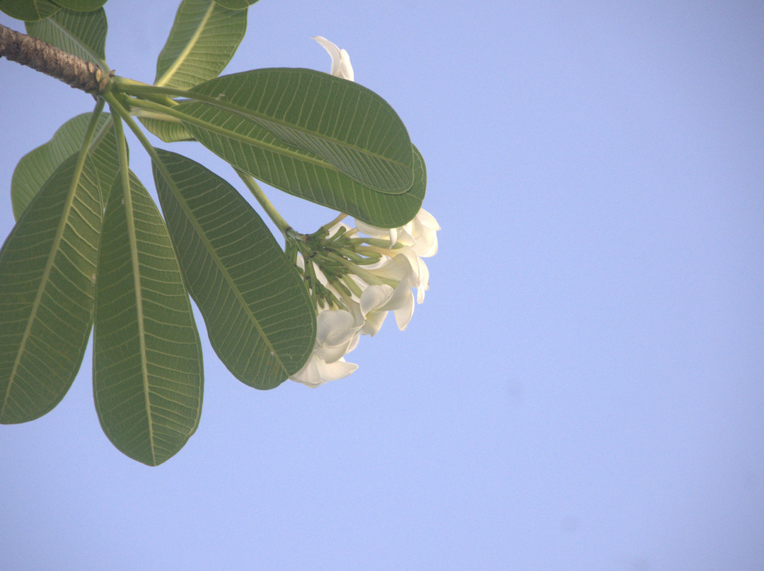 齐塔拉度假村主图