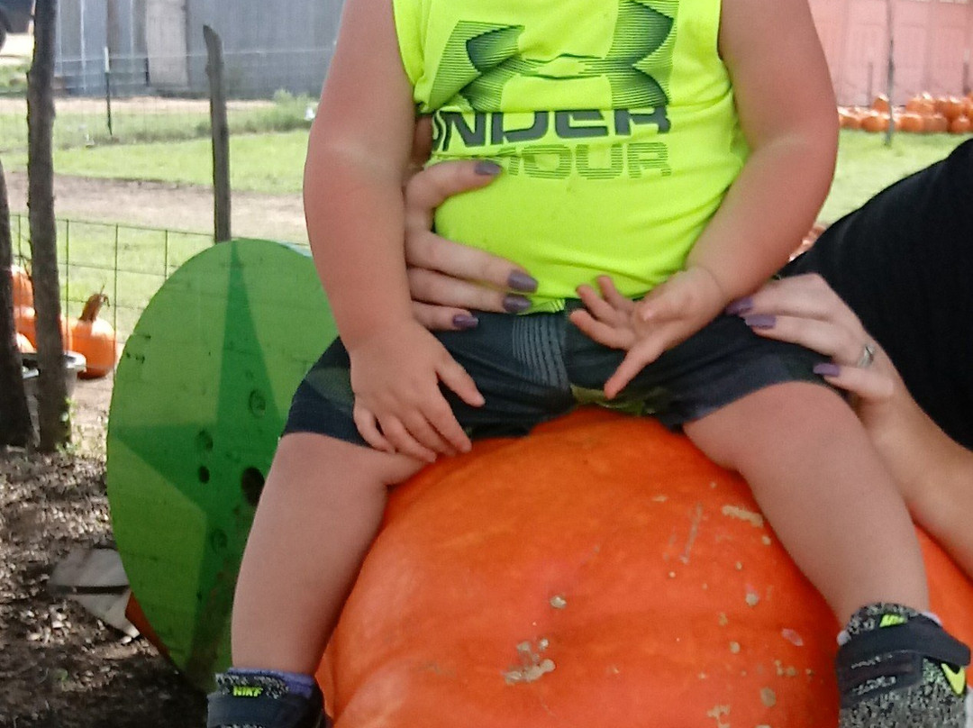 Sweet Berry Farm-Marble Falls必去景点