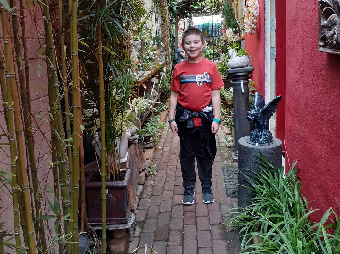 The Pilgrim's Way Community Bookstore and Secret Garden-卡梅尔必去景点