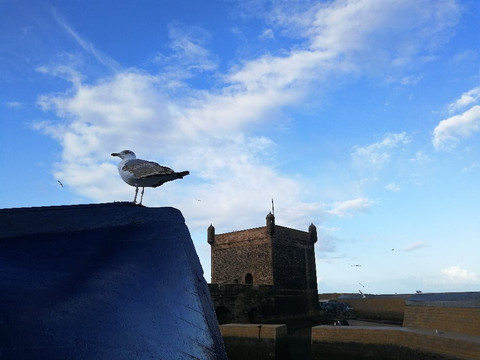 21tour of Morocco-马拉喀什必去景点