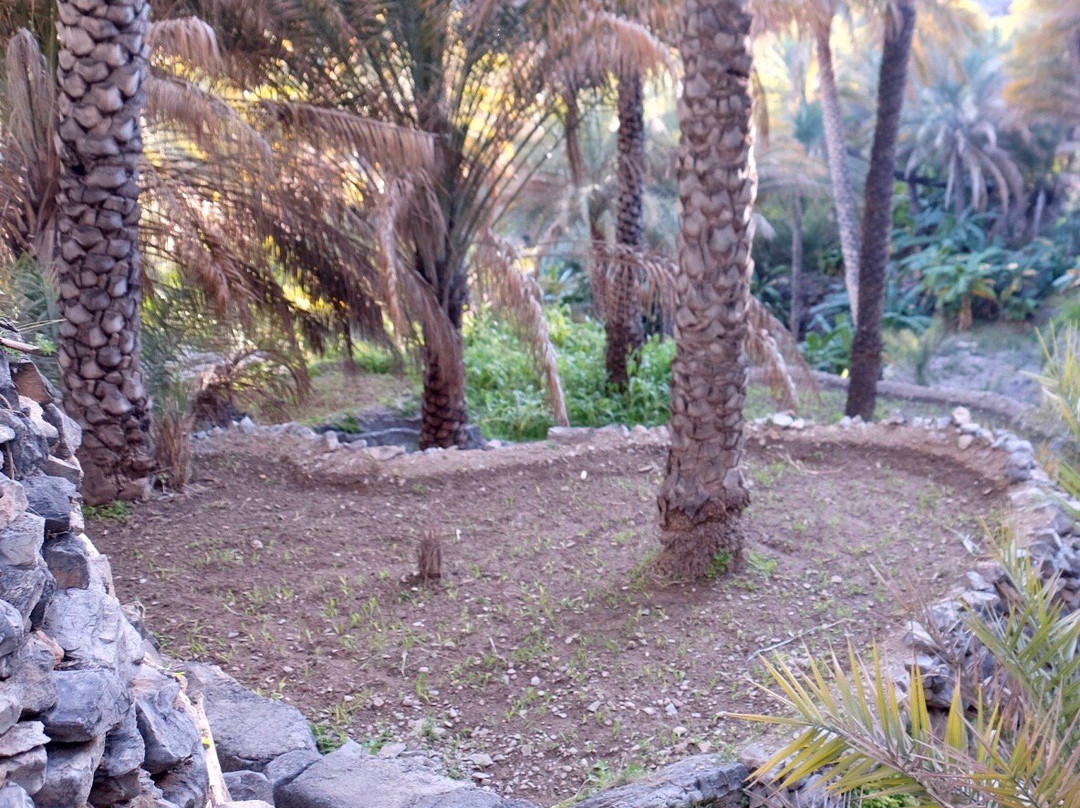 Mark Tours - Oman Tours-Ruwi必去景点