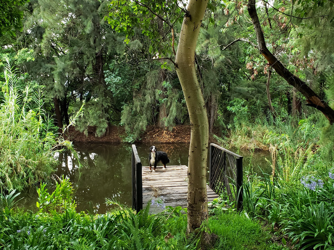 Blyde Mountain Country House主图