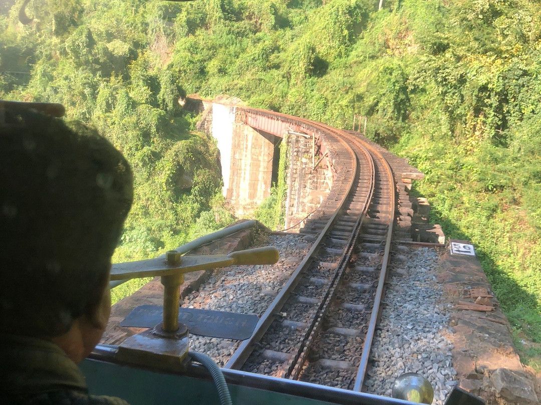 Toy Train景点图片