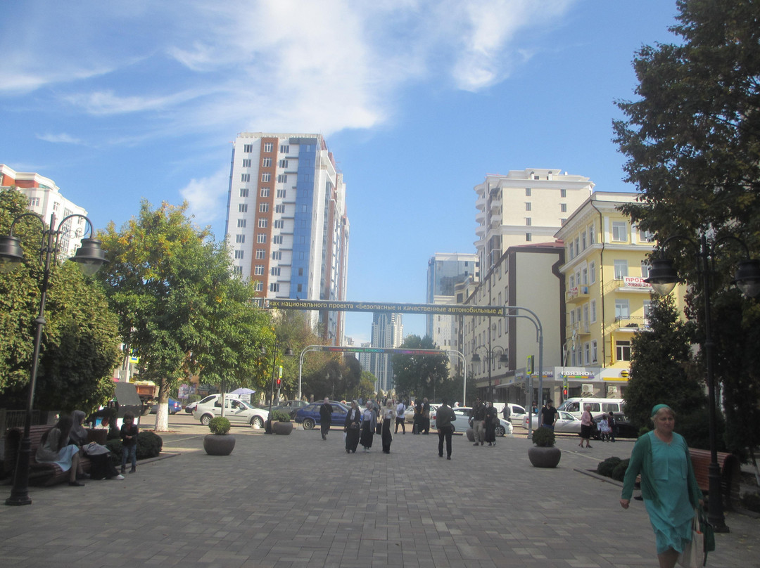 Makhmud Esambayev Avenue景点图片