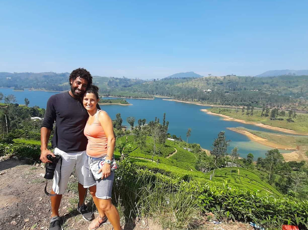 Pine Trees Homestay主图