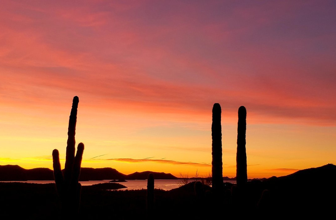 Size Matters-Buckeye必去景点