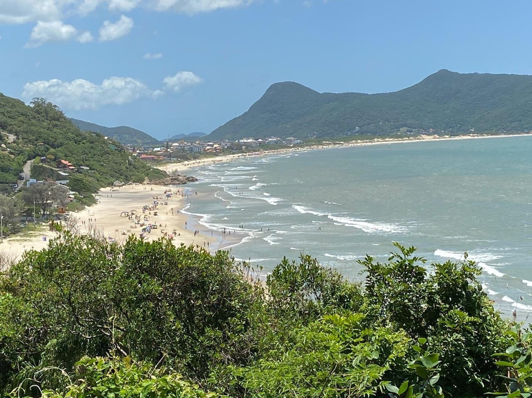 Praia dos Açores景点图片