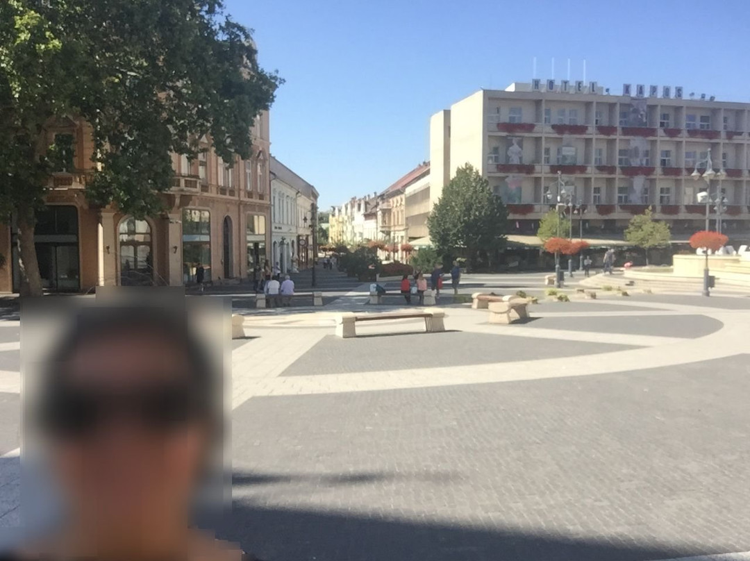 Kaposvar Plaza景点图片
