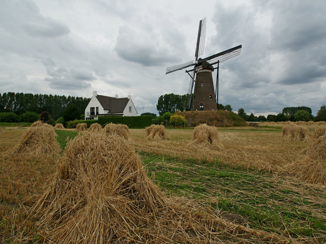 Windkorenmolen De Roosdonck景点图片
