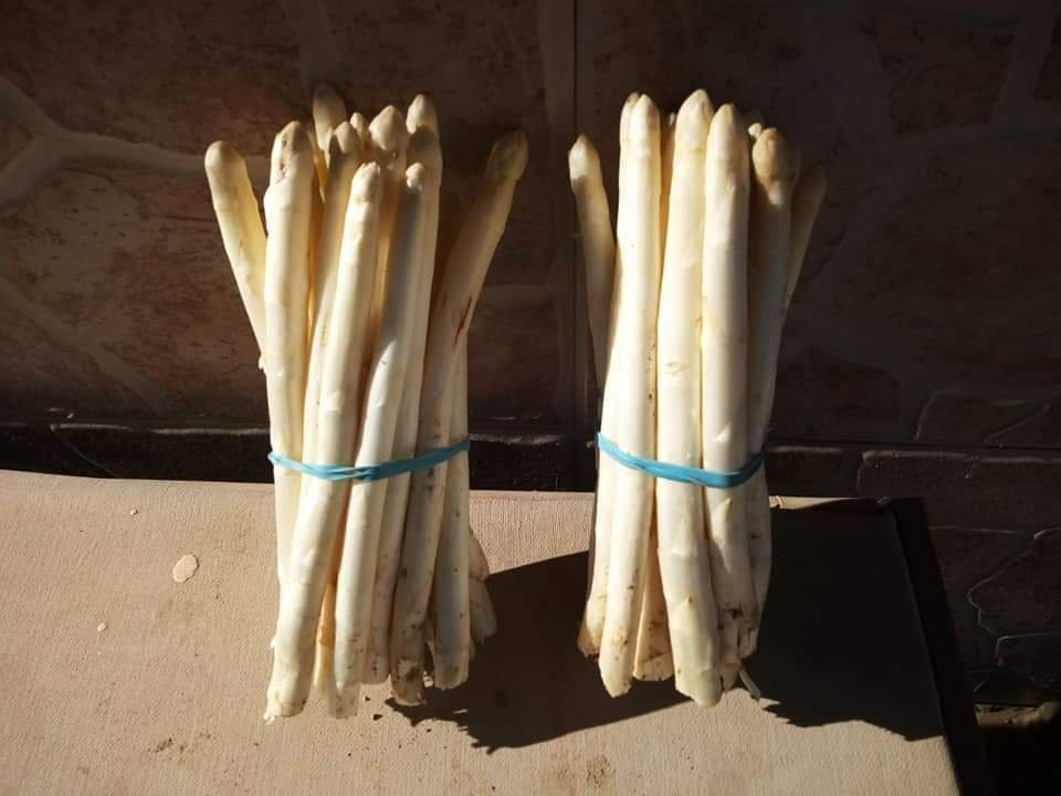 Ribaforada旅游攻略图片