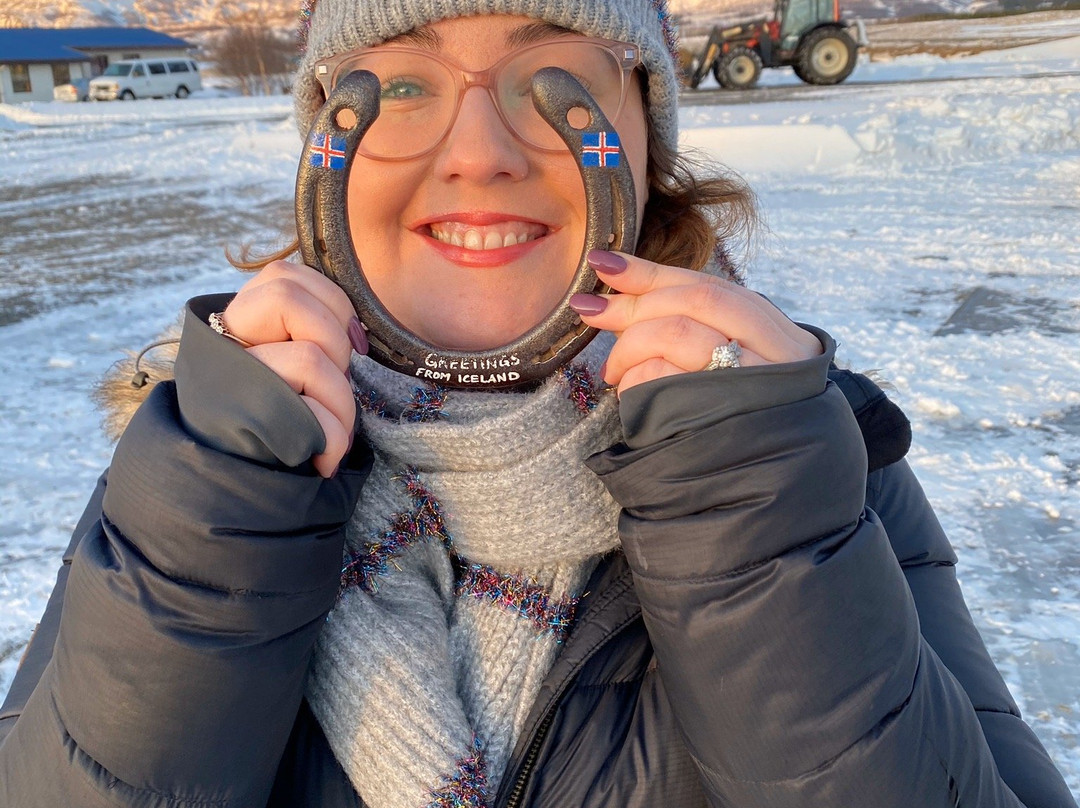 冰岛地质之旅（一日游）-雷克雅未克必去景点