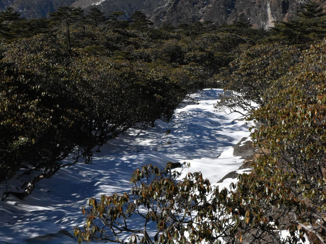 轿子雪山景点图片