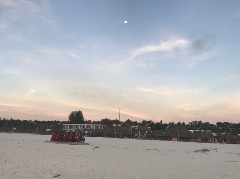 Kendwa Royal Palm主图