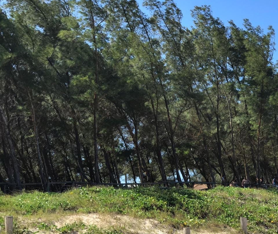 Bosque Beach-Guriri必去景点