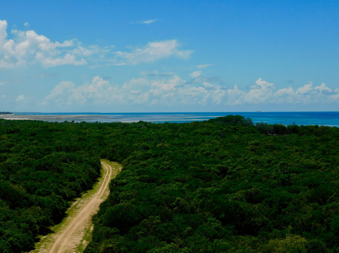 Ras Mkumbi-马菲亚岛必去景点