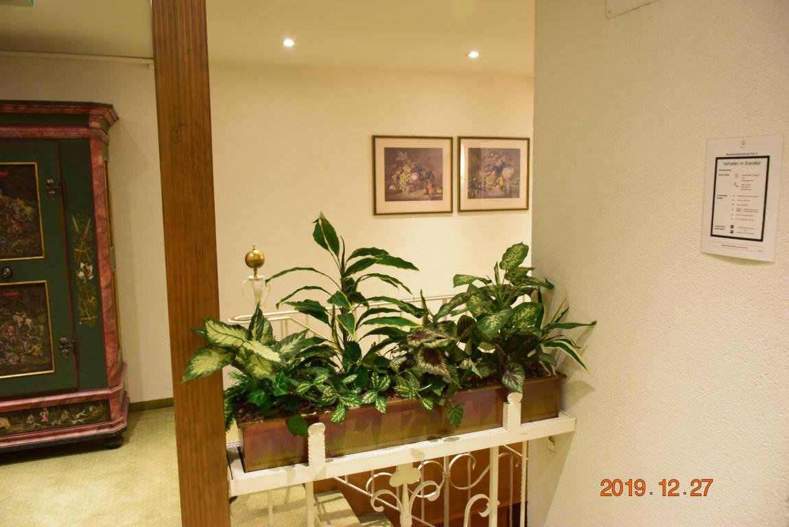 Landgasthof Hotel Hirsch-家庭/游戏区