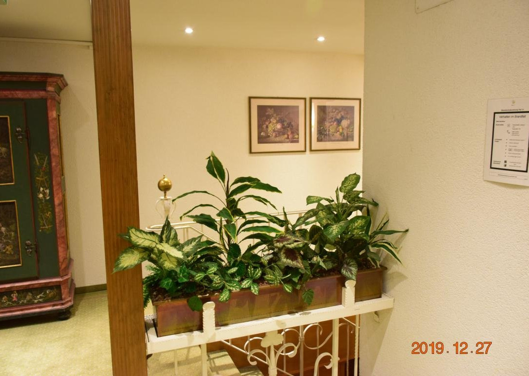 Landgasthof Hotel Hirsch主图