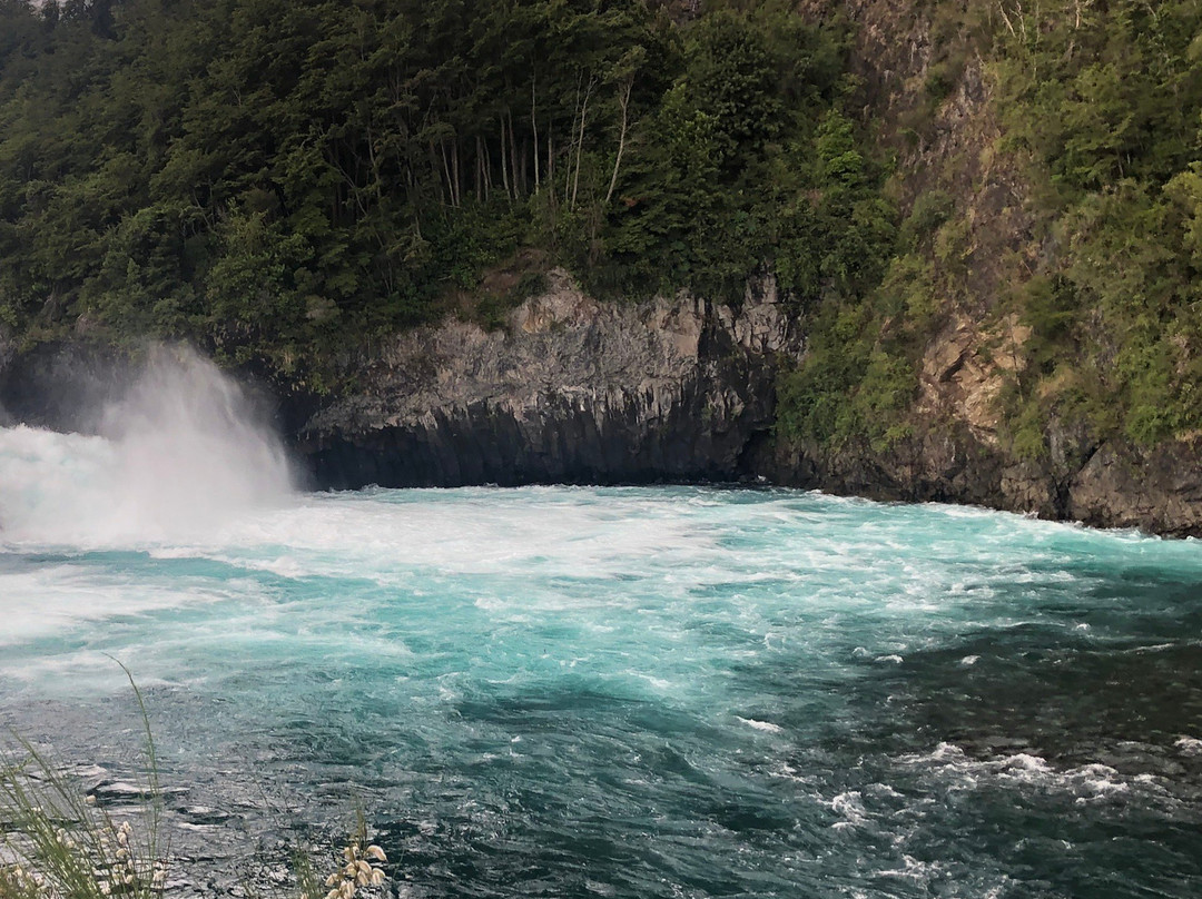 Turismo Condor Andino-蒙特港必去景点