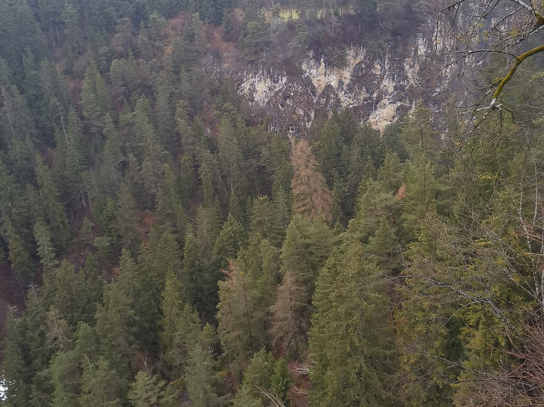 Benni Raich Brucke-Arzl im Pitztal必去景点