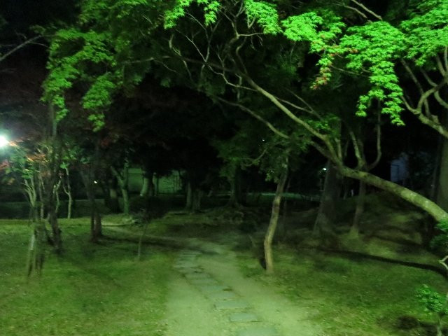 Tsu Kairaku Park景点图片