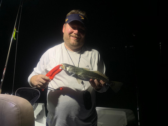 Niteline Charters-棕榈海岸必去景点