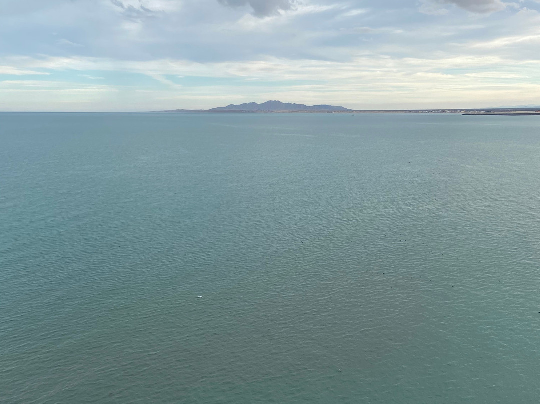 Hotel El Cortez主图