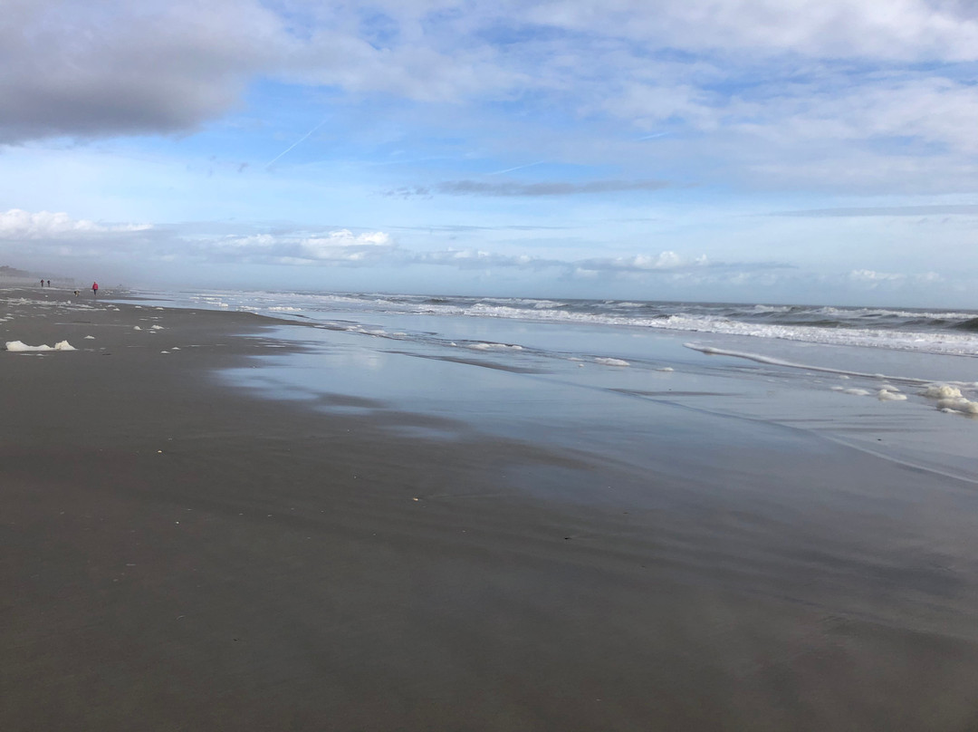 Atlantic Beach-杰克逊维尔必去景点