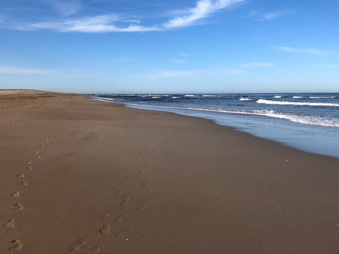 Tan-Tan Plage-Tan-Tan必去景点