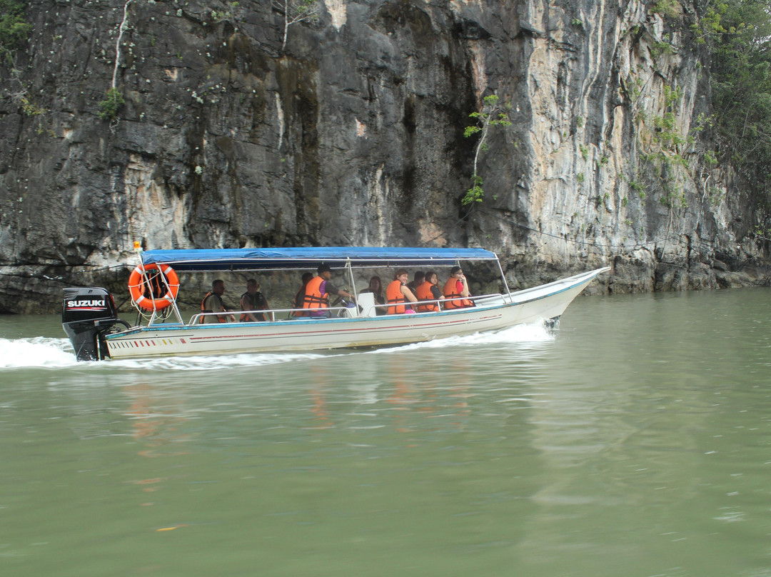 Langkawi Mangrove Night Safari景点图片