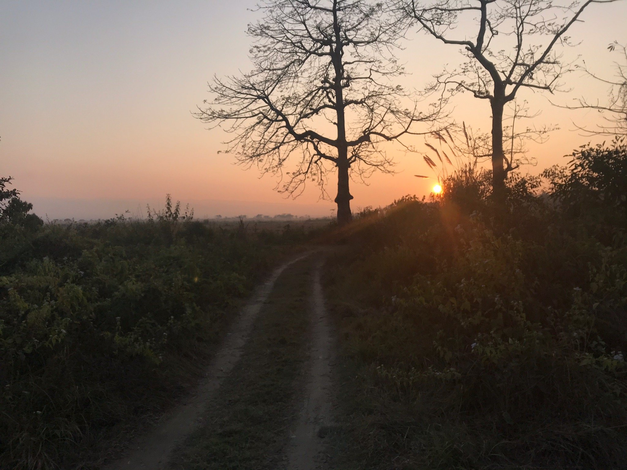 Chitwan Safari Camp & Lodge-官方