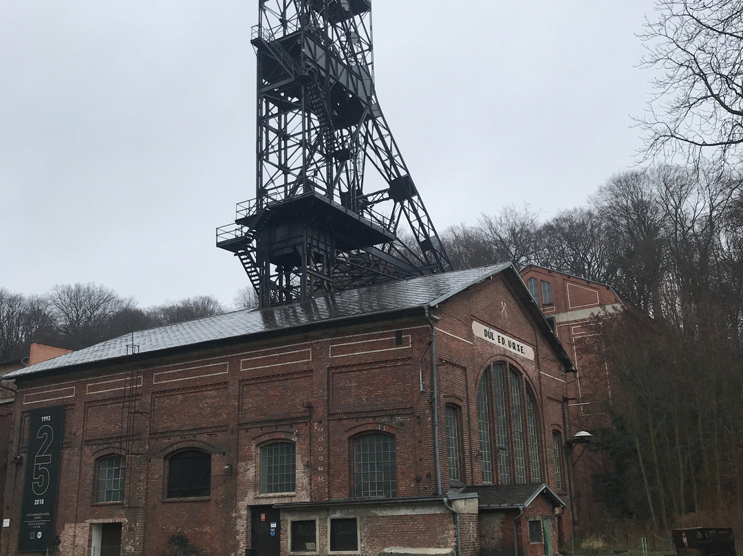Landek Park Mining Museum景点图片