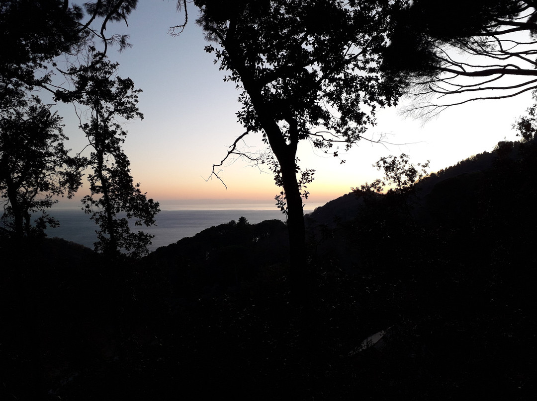 Santuario di Nostra Signora delle Grazie-热那亚必去景点