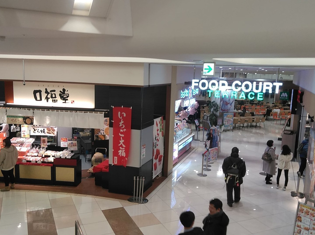 Ito-Yokado Ario Kawaguchi-川口市必去景点