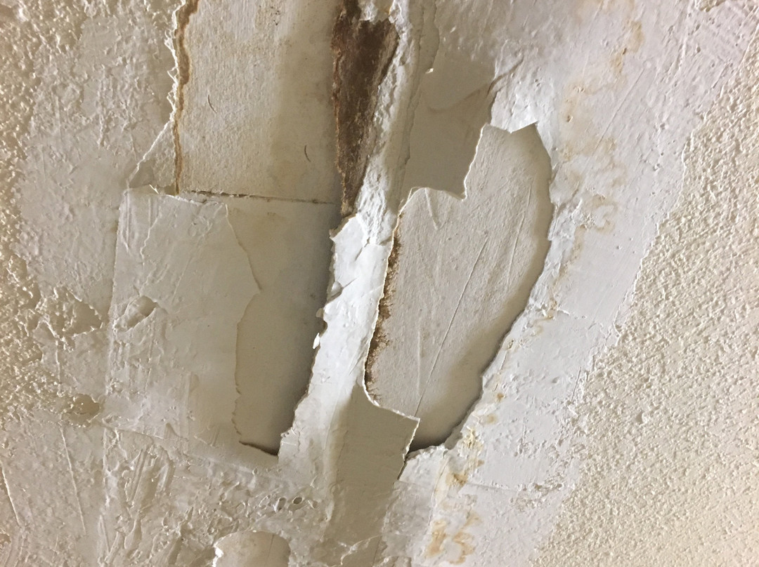 Extended Stay America Select Suites - Washington D.C. - Germantown - Town Center主图