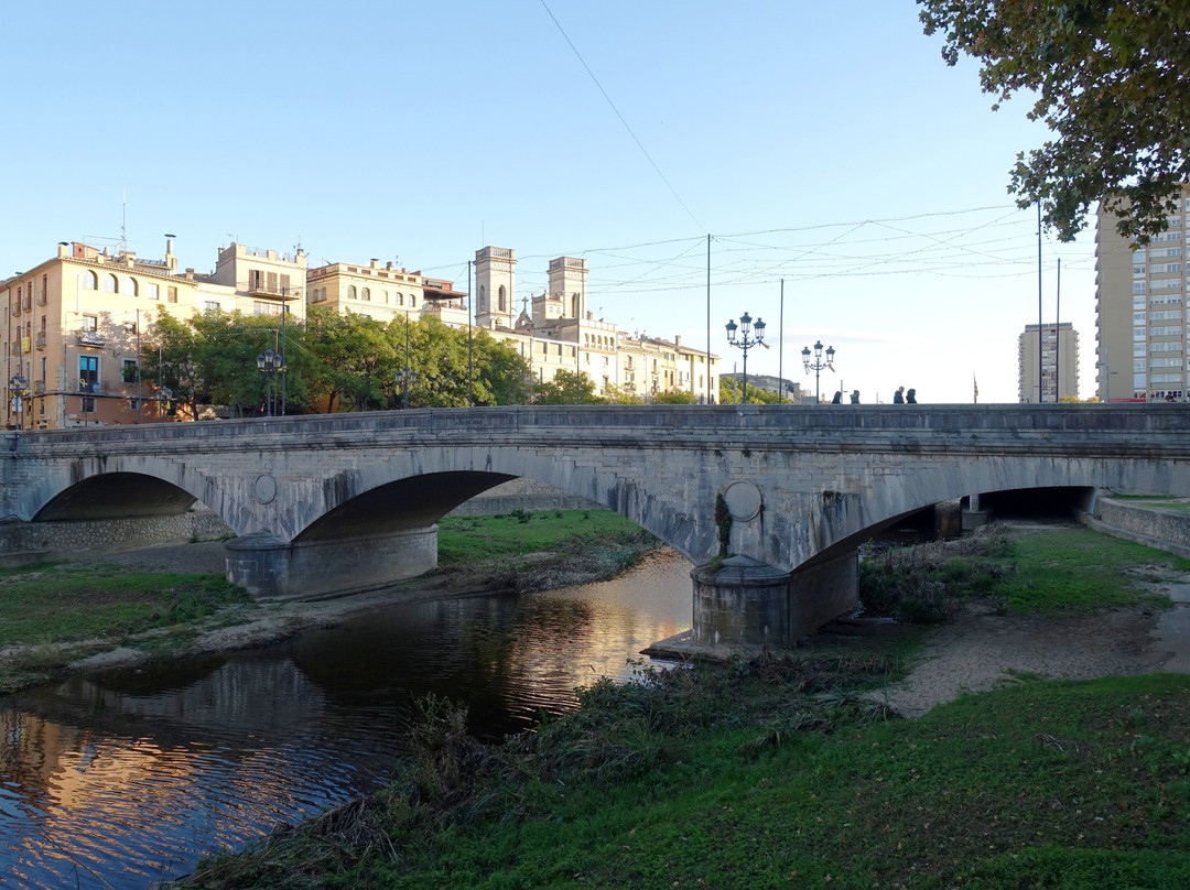 Pont de Pedra景点图片