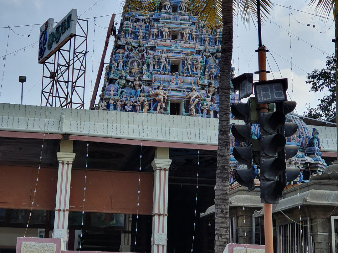 Thiru Avinankudi Temple景点图片