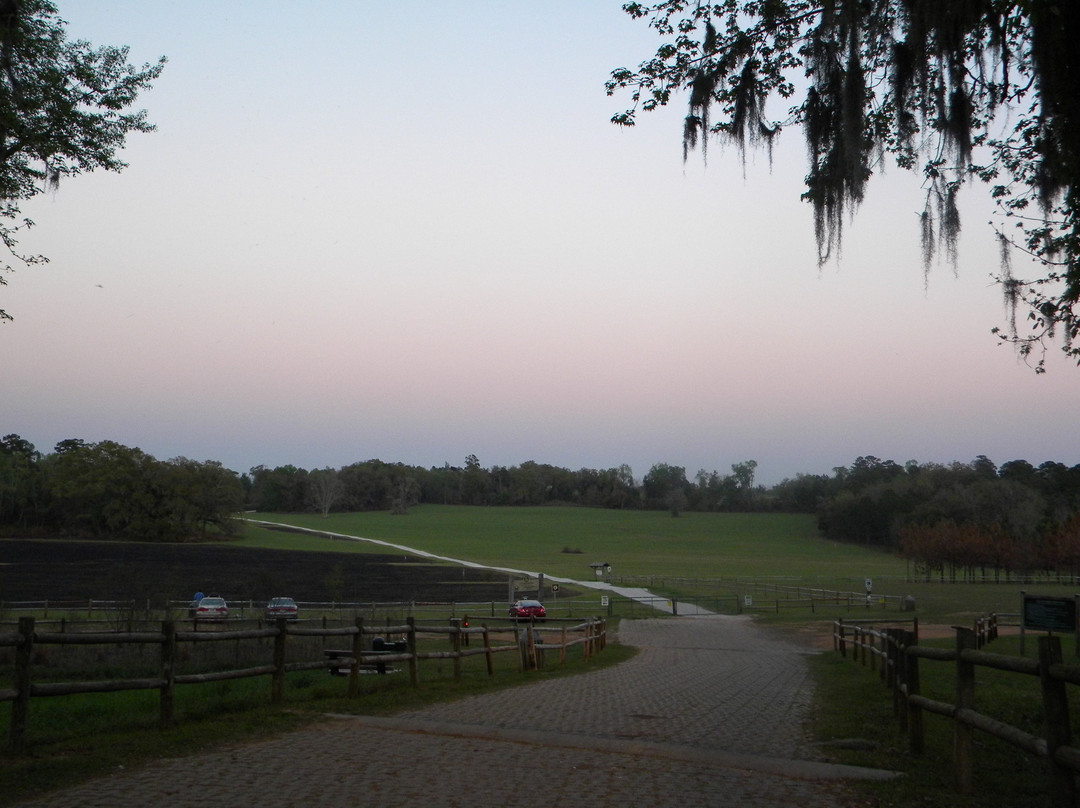 JR Alford Greenway Trail-塔拉哈西必去景点
